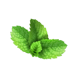 Yaftom-JAWAD Foods,Mint-یافتم